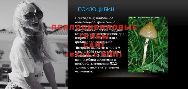 герыч Алексин