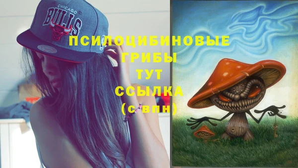 стаф Алзамай