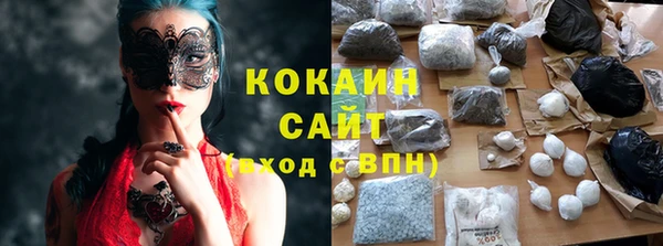 стаф Алзамай
