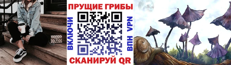 Галлюциногенные грибы MAGIC MUSHROOMS  Купить  Темрюк 